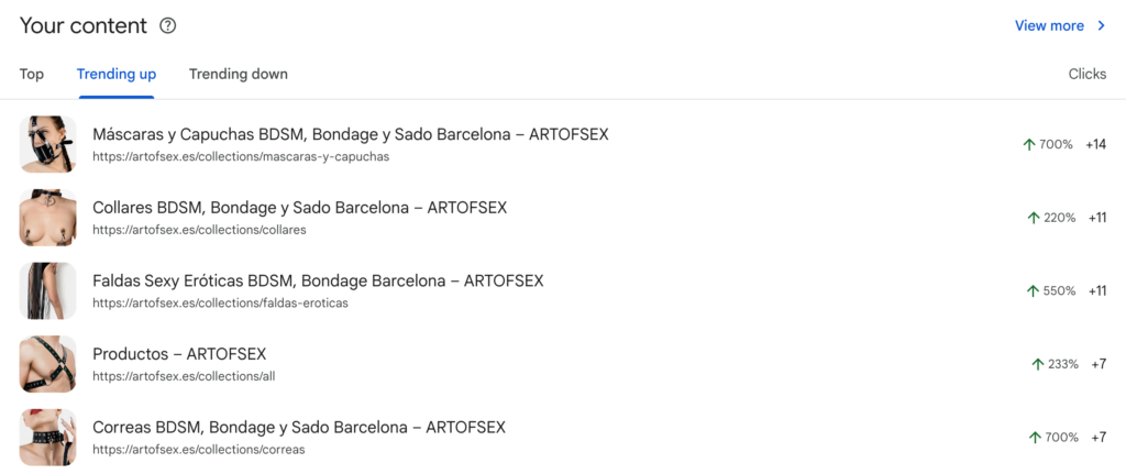 seo servicios tienda online